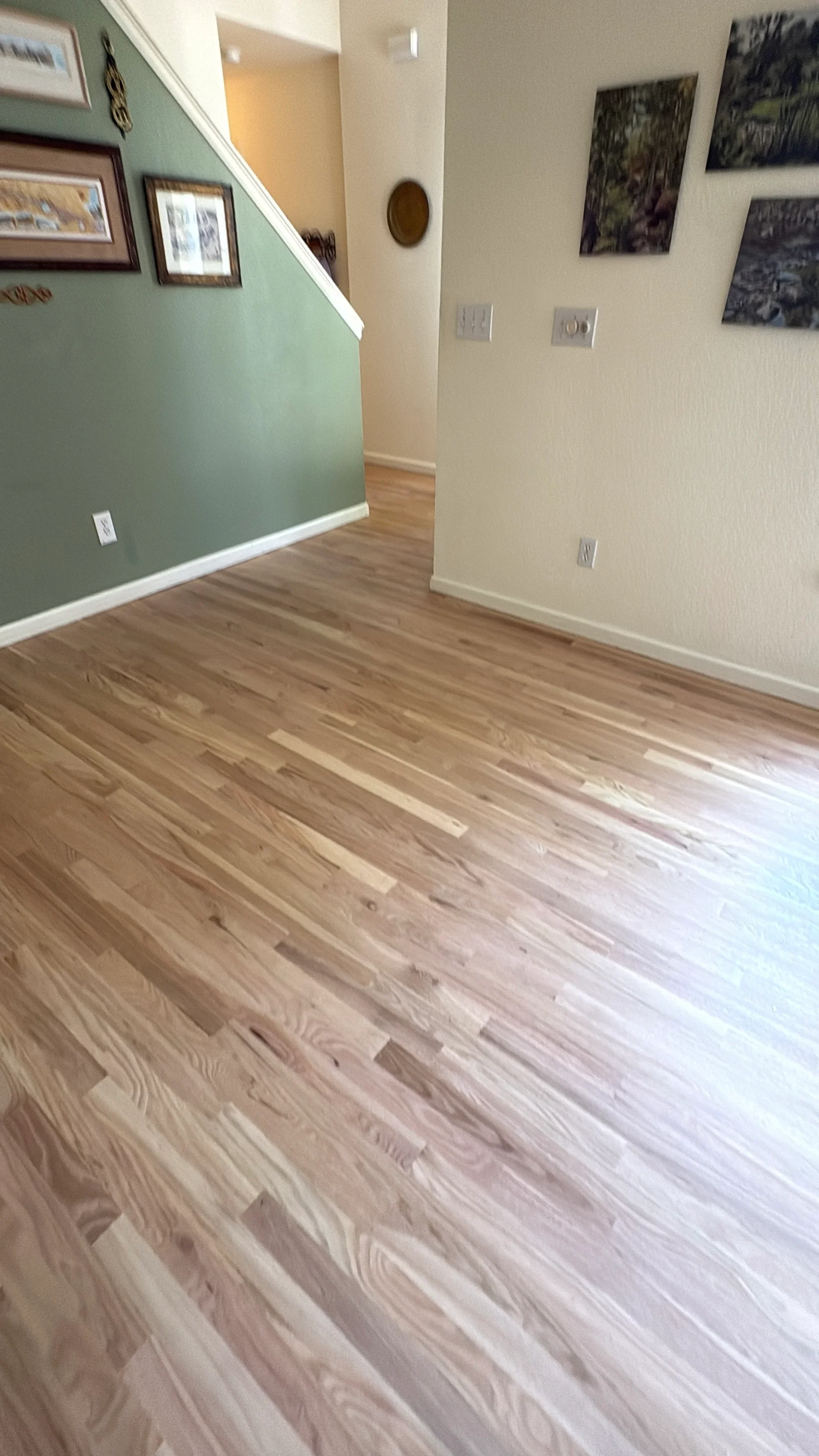 Light oak hardwood flooring installed in open floor plan with white trim and sage green accent wall