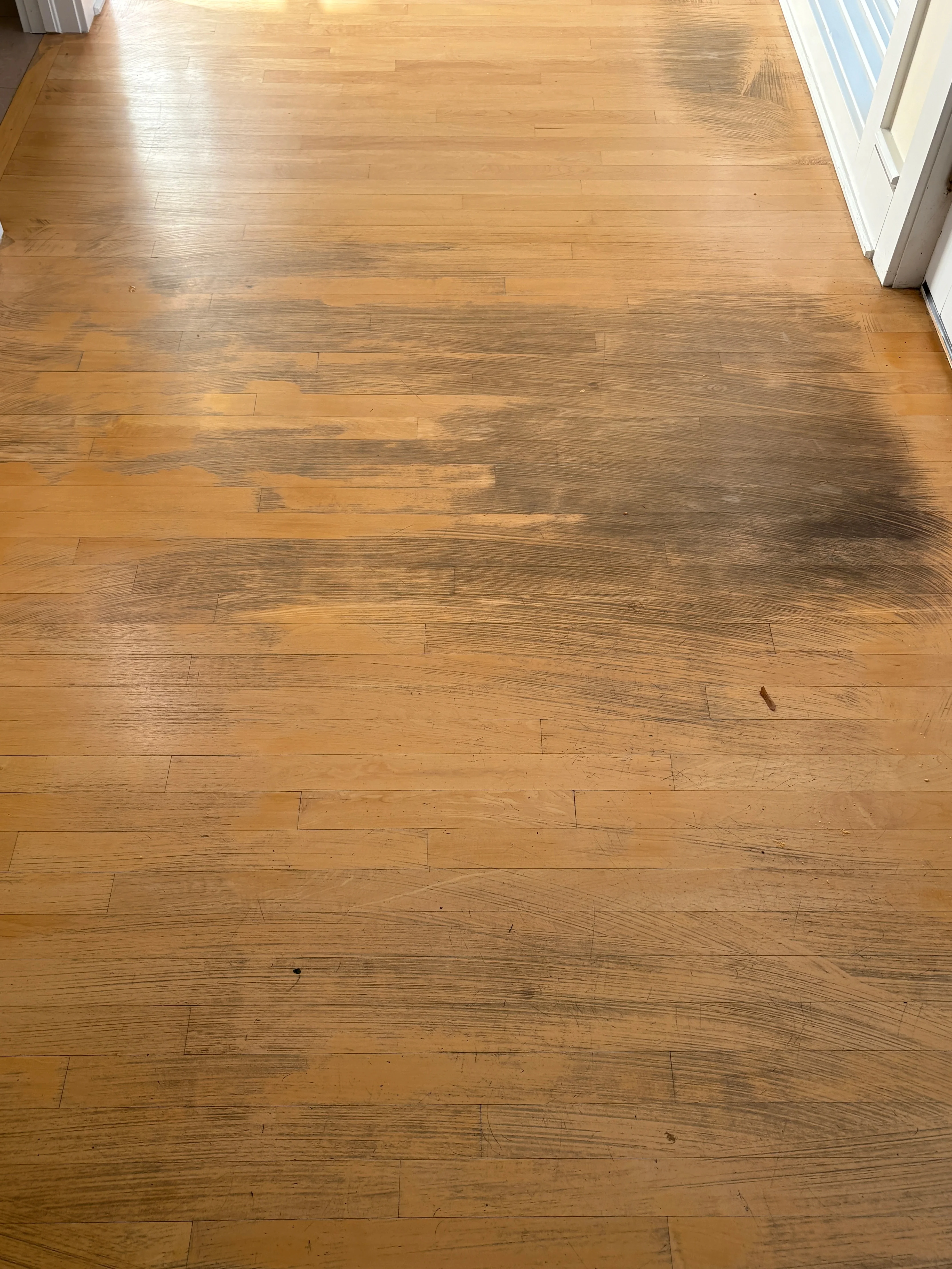 Refinished hardwood floor with natural oak stain and polyurethane finish, showing restored grain and even color